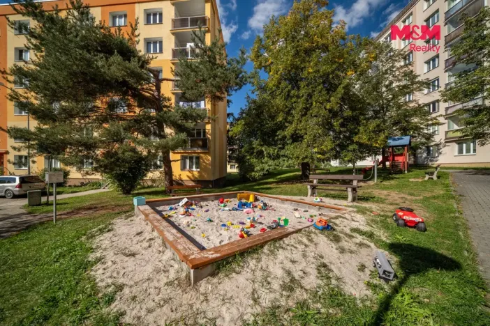 Prodej bytu 3+1, Plzeň - Jižní Předměstí, U Borského parku, 64 m2