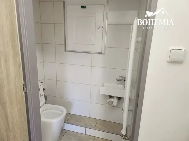 Prodej bytu 4+1, Teplice, U Hadích lázní, 105 m2