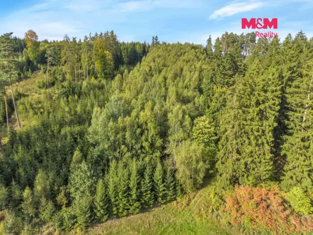 Prodej lesa, Vidochov, 8513 m2
