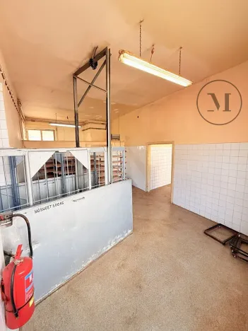 Pronájem výrobních prostor, Netolice, Mírové Náměstí, 500 m2