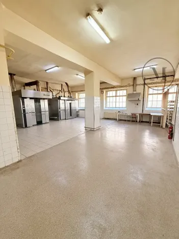Pronájem komerční nemovitosti, Netolice, Mírové Náměstí, 500 m2