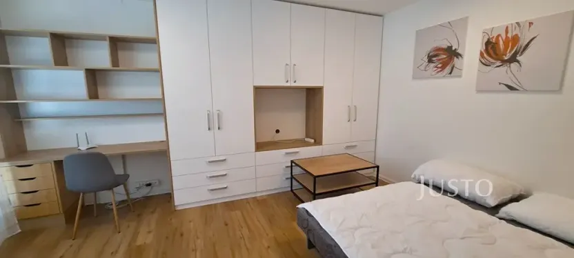 Pronájem bytu 1+1, Písek, 17. listopadu, 41 m2