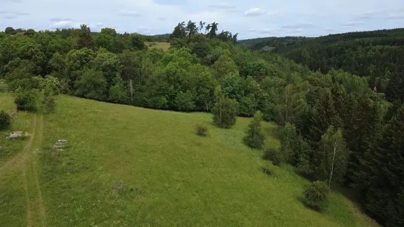 Prodej pozemku pro bydlení, Planá, 2215 m2