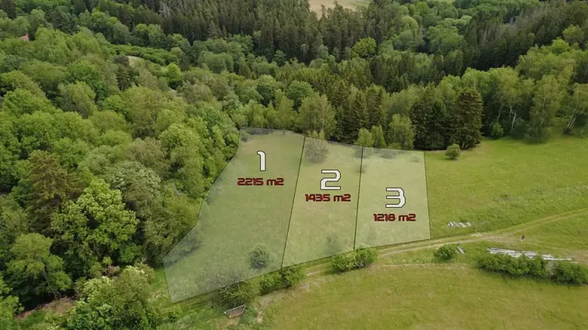Prodej pozemku pro bydlení, Planá, 1435 m2