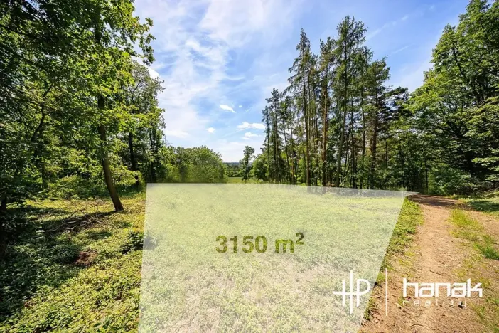Prodej pozemku pro bydlení, Hluchov, 3150 m2
