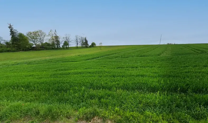 Prodej komerčního pozemku, Žirovnice, 10581 m2