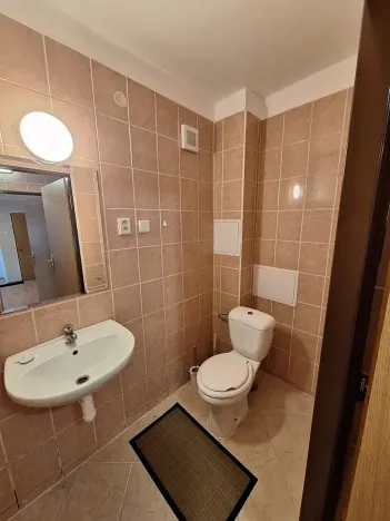 Pronájem bytu 1+kk, Brozany nad Ohří, Voborského, 25 m2