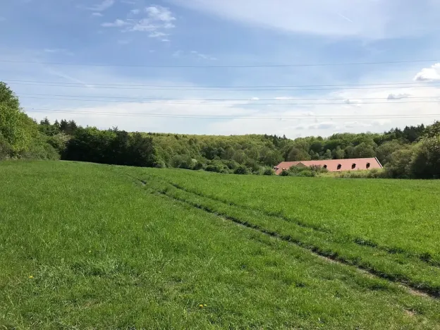 Prodej podílu louky, Praha - Nebušice, U Gabrielky, 24023 m2