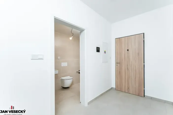 Prodej bytu 1+kk, Plzeň, Železná, 37 m2