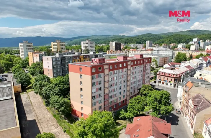 Prodej bytu 1+1, Litvínov - Horní Litvínov, Čapkova, 36 m2