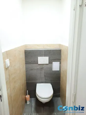 Pronájem bytu 4+kk, Praha - Karlín, Pernerova, 95 m2