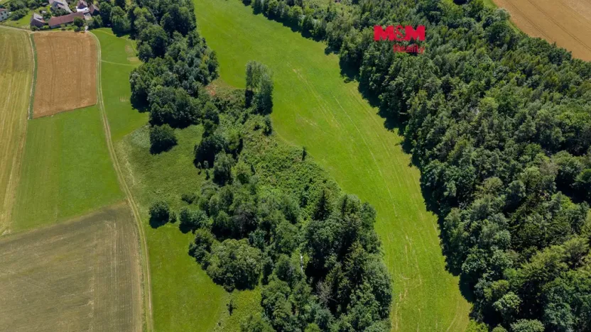 Prodej lesa, Bílá, 11944 m2