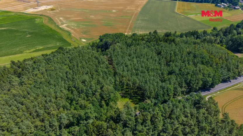 Prodej lesa, Bílá, 11944 m2