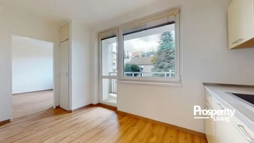 Prodej bytu 1+1, Teplice - Trnovany, Palackého, 36 m2