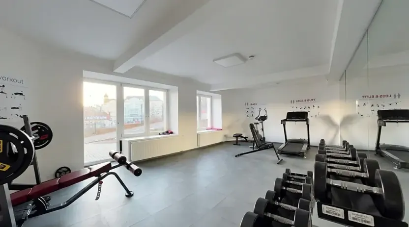 Pronájem bytu 2+kk, Praha - Vinohrady, Perucká, 40 m2
