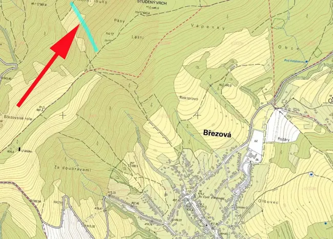 Prodej lesa, Suchá Loz, 10956 m2