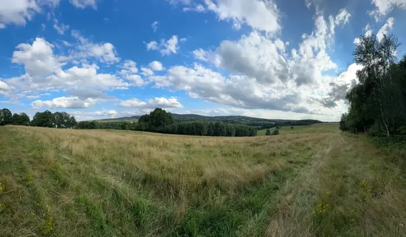 Prodej zemědělské usedlosti, Cheb, 960 m2