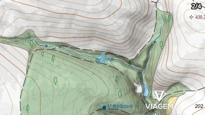 Prodej podílu lesa, Lukovany, 4460 m2