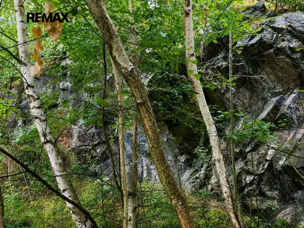 Prodej pozemku, Číčovice, 5606 m2