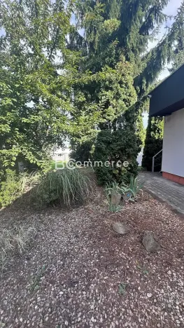 Pronájem skladu, Brno, 800 m2
