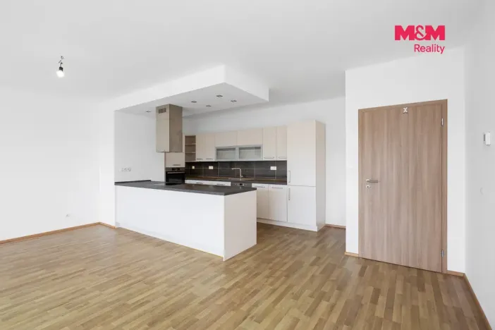Pronájem bytu 3+kk, Pardubice - Zelené Předměstí, Hronovická, 119 m2