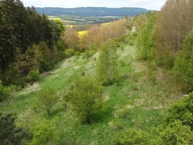Dražba louky, Křenov, 16180 m2