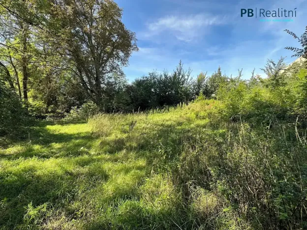 Prodej pozemku pro bydlení, Ledce, 9180 m2