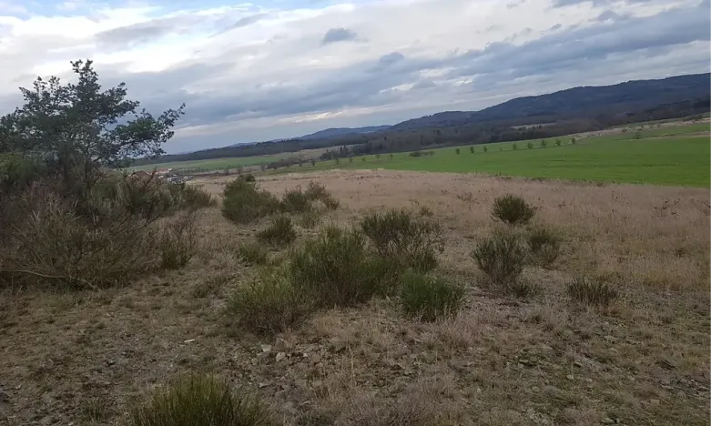 Prodej louky, Stará Huť, 3629 m2