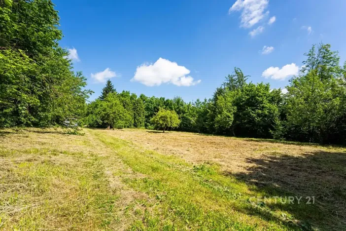 Prodej pozemku, Miličín, 2355 m2