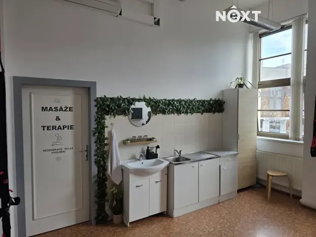 Pronájem ordinace, Mělník, Nová, 42 m2
