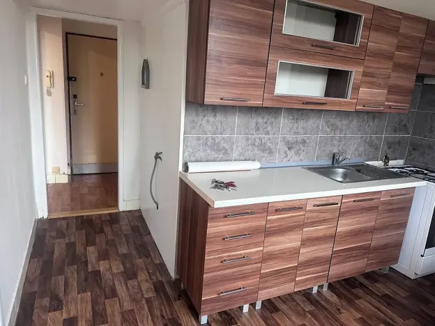 Pronájem bytu 2+1, Lovosice, Sady pionýrů, 56 m2