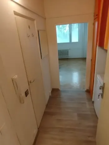 Pronájem bytu 1+kk, Brno, Halasovo náměstí, 22 m2