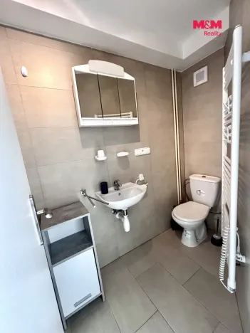 Pronájem bytu 1+kk, Rudolfov, Mlýnské údolí, 26 m2