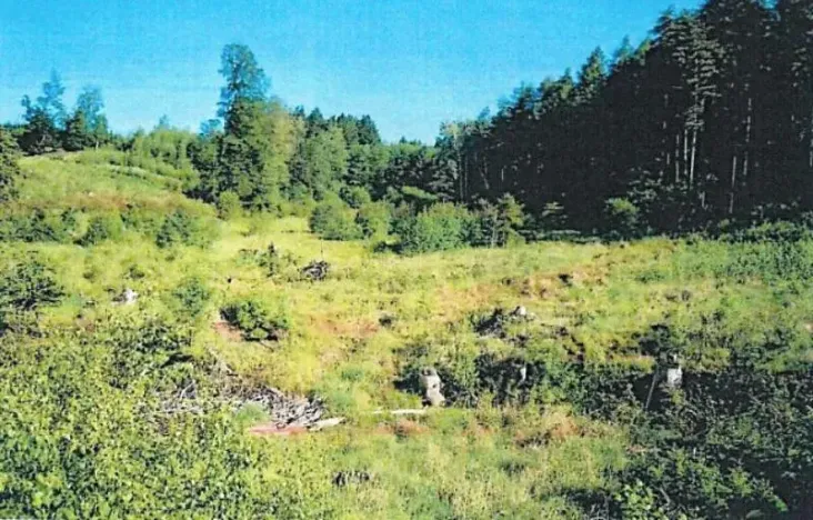 Prodej lesa, Slavíkov, 8906 m2