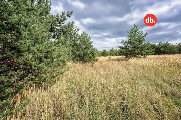 Prodej pozemku pro bydlení, Sadov, 3921 m2