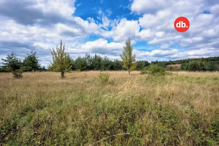 Prodej pozemku pro bydlení, Sadov, 3921 m2