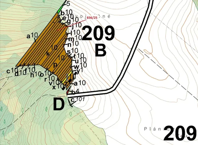 Dražba lesa, Ketkovice, 907 m2