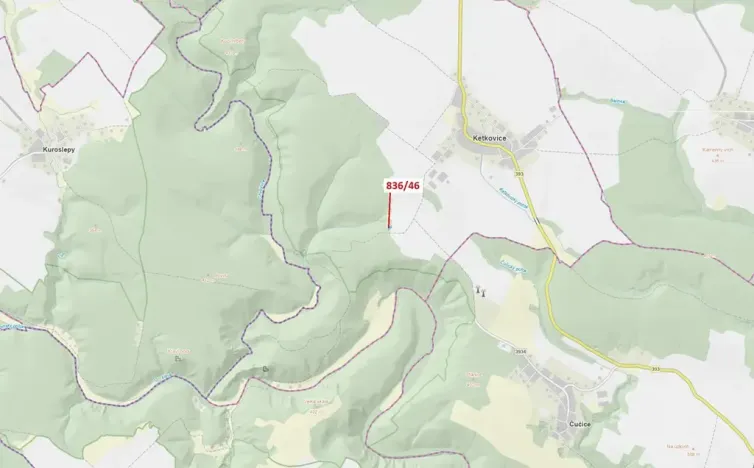 Dražba lesa, Ketkovice, 594 m2