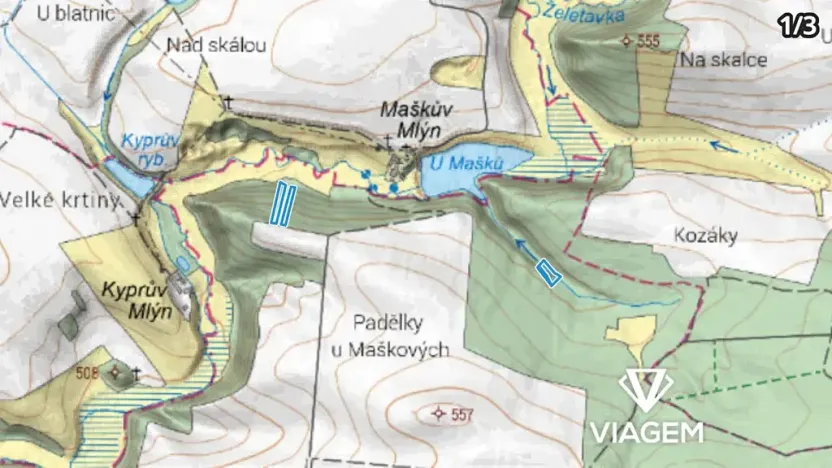 Prodej podílu lesa, Radkovice u Budče, 12665 m2