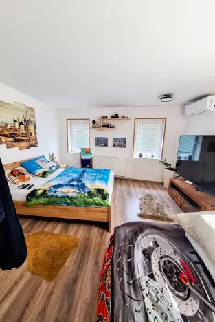 Prodej vícegeneračního domu, Brno, Krajní, 396 m2