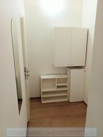 Pronájem bytu 2+kk, Praha - Vinohrady, 43 m2