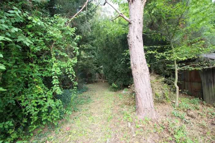 Prodej pozemku, Nová Ves pod Pleší, Ke Kapli, 1605 m2