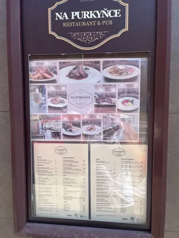 Pronájem restaurace, Brno, Purkyňova, 243 m2