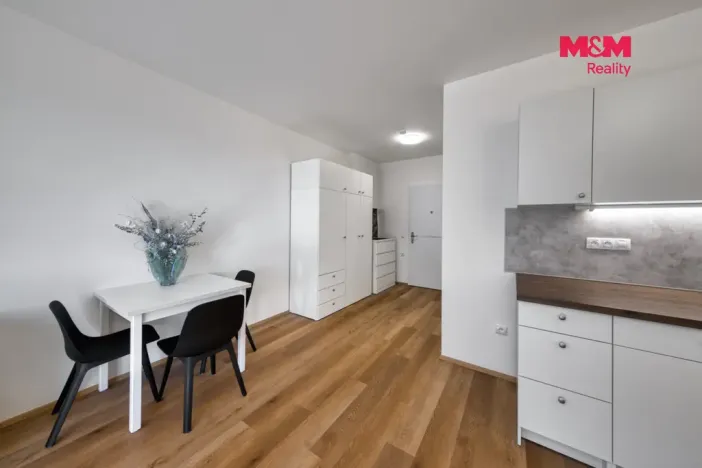 Prodej bytu 1+kk, Mladá Boleslav - Mladá Boleslav III, Vondřichova, 38 m2