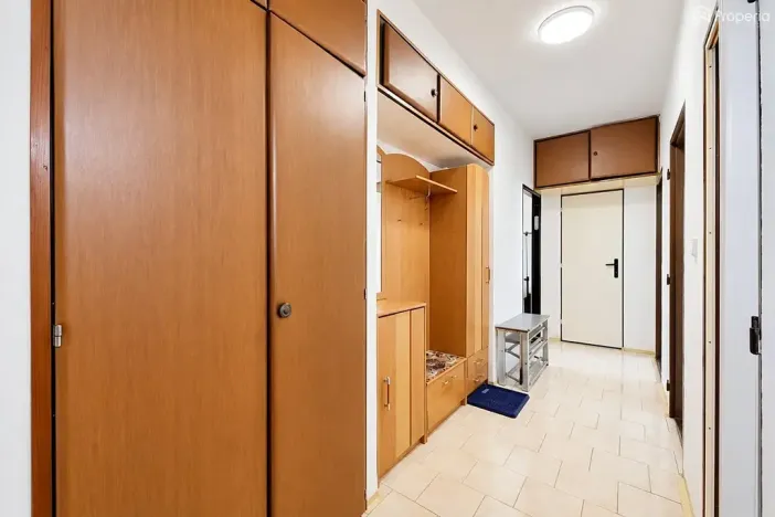 Prodej bytu 2+1, Brno, Došlíkova, 52 m2