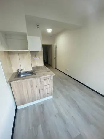 Pronájem bytu 1+kk, Praha - Hlubočepy, Na Zlíchově, 17 m2