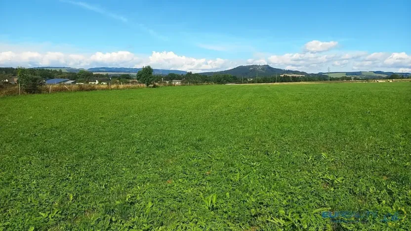 Prodej louky, Police nad Metují, 17068 m2