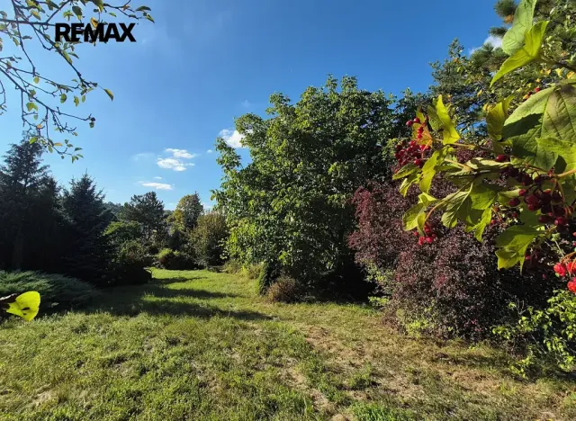 Prodej vícegeneračního domu, Letovice, Pražská, 330 m2