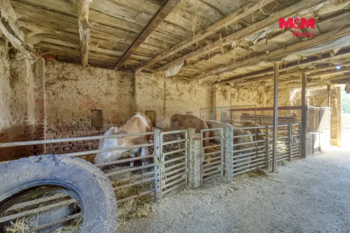 Prodej zemědělské usedlosti, Čečovice, 70 m2