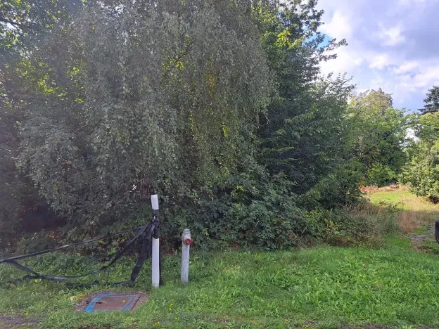 Prodej pozemku, Nemojov - Nový Nemojov, 3619 m2